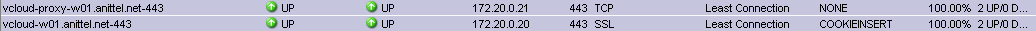 ns_info_virtualserver